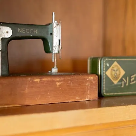 Bruno Selvago In Villa