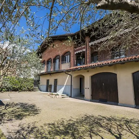 Bruno Selvago In * Lessona