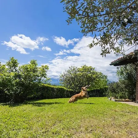 Bruno Selvago In Villa