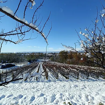 Bruno Selvago In Villa