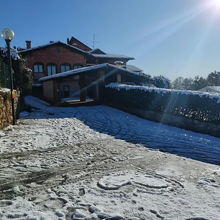 Bruno Selvago In * Lessona