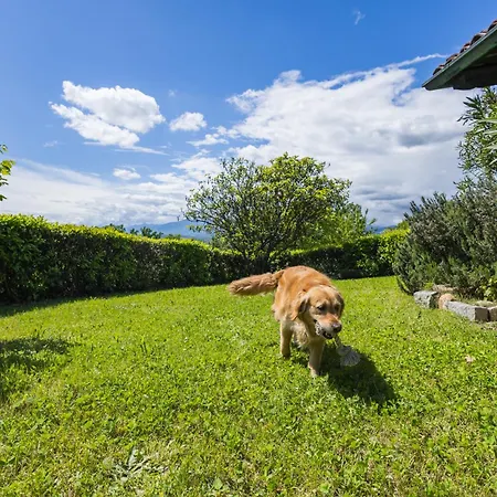 Villa Bruno Selvago In Lessona