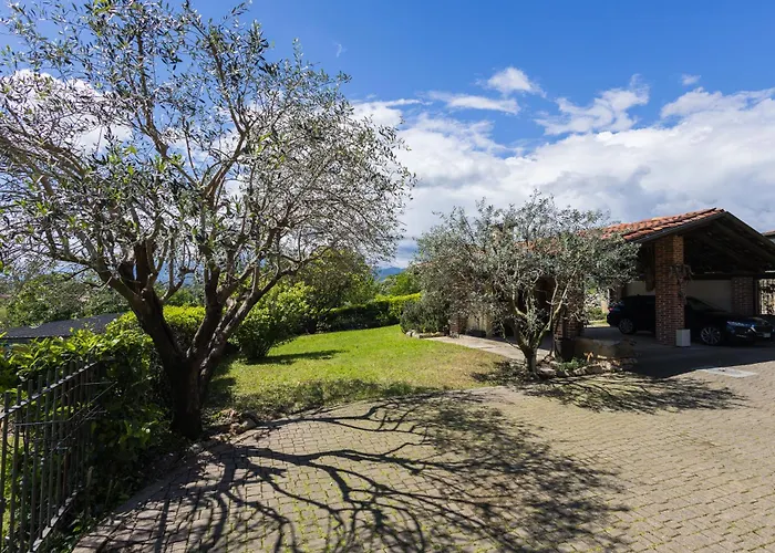 Bruno Selvago In Lessona