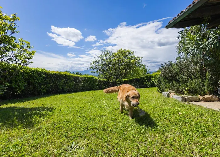 Villa Bruno Selvago In Lessona