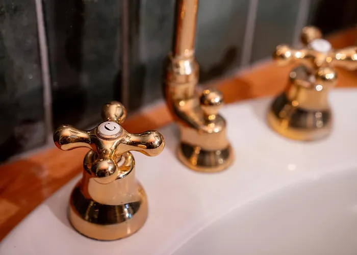 Bruno Selvago In Villa Lessona